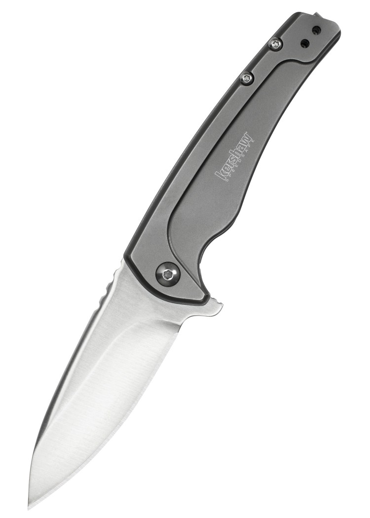 foto Folder Kershaw Intellect